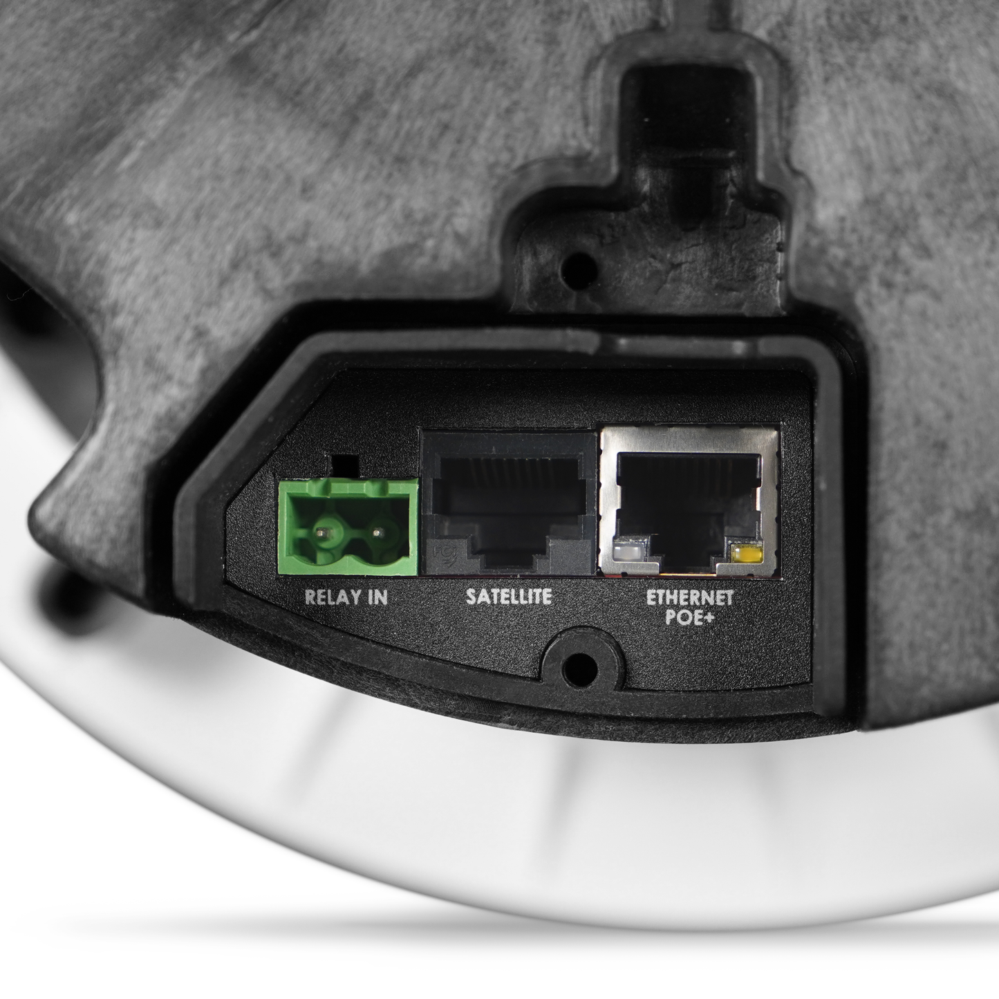 8198 IP PoE+ Ceiling Speaker | Algo SIP Ceiling Speaker